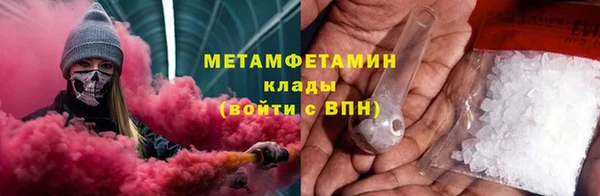 прущие грибы Краснотурьинск