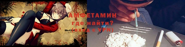 прущие грибы Краснотурьинск