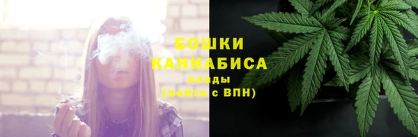 прущие грибы Краснотурьинск