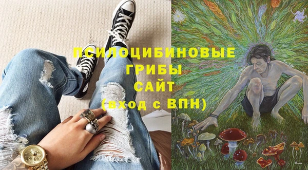 амф Краснослободск