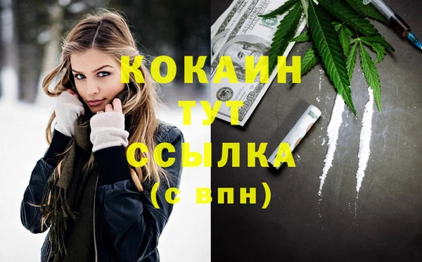 амф Краснослободск