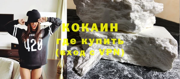 прущие грибы Краснотурьинск