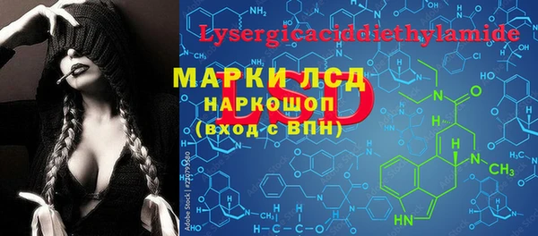 прущие грибы Краснотурьинск