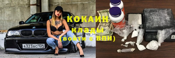 прущие грибы Краснотурьинск