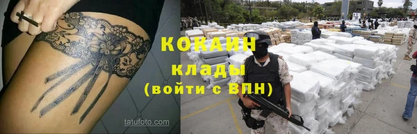 прущие грибы Краснотурьинск