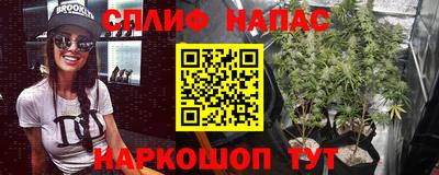 скорость Камышлов