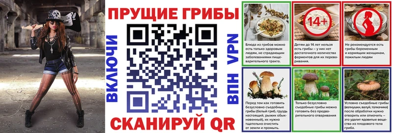 наркошоп  Сочи  OMG   Псилоцибиновые грибы Psilocybine cubensis 